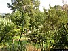 Foto 029